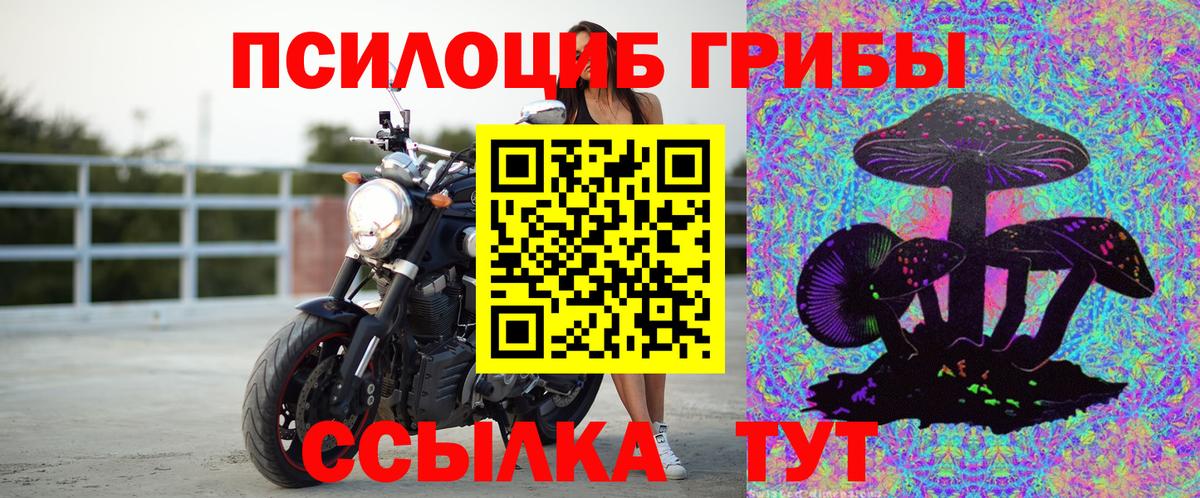 Галлюциногенные грибы Psilocybine cubensis  Галлюциногенные грибы Cubensis  Вход с VPN  Михайловка 